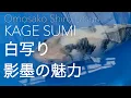 Download Lagu [Omosako Shiro Utsuri with kage-sumi 面迫白写り　影墨の魅力] Doki Doki Koi episode 2 tategoi Shiro Utsuri