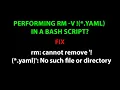 LINUX rm cannot remove yaml No such file or directory