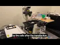 Virtual Tour Boyden Lab