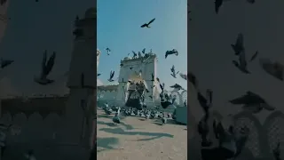 نشيد أيها الموجوع صبرا إن بعد العسر يسرى 