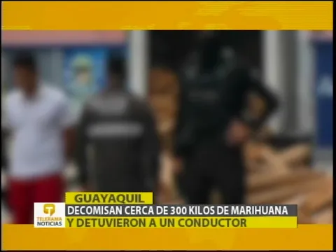 Decomisan cerca de 300 kilos de marihuana y detuvieron a un conductor