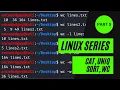 Linux Series Part 5 - cat uniq sort wc commands explanation rashahacks