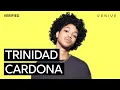 Trinidad Cardona Dinero Meaning Verified