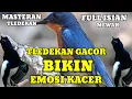 Download Lagu Bikin Kacer Emosi Buka Ekor.. Suara Tledekan Gunung Gacor Full Isian Tembakan Mewah | Masteran