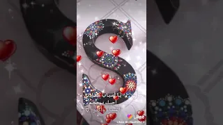 حبيبي اخويه تاج راسي 