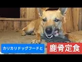 Download Lagu カリ飯シーズン到来
