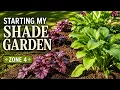 Starting My Shade Garden Zone 4 Planting Hostas Heuchera Hydrangea New England Gardening