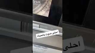 صراف احلى صوت بالحياة 