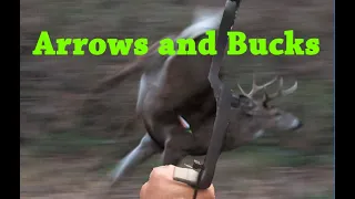 30 pound bow, SLOCK, Whitetail