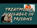 Correctional Treatment in U S Prisons