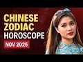 Which Chinese Zodiac Signs Get The Most Abundance In November 2025
