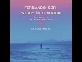 Study in D major, Op.35 No.17 - Carlos Angel & Fernando Sor