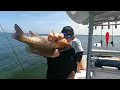 Poseidon Fishing Charters - Inshore Fishing In Tampa Bay