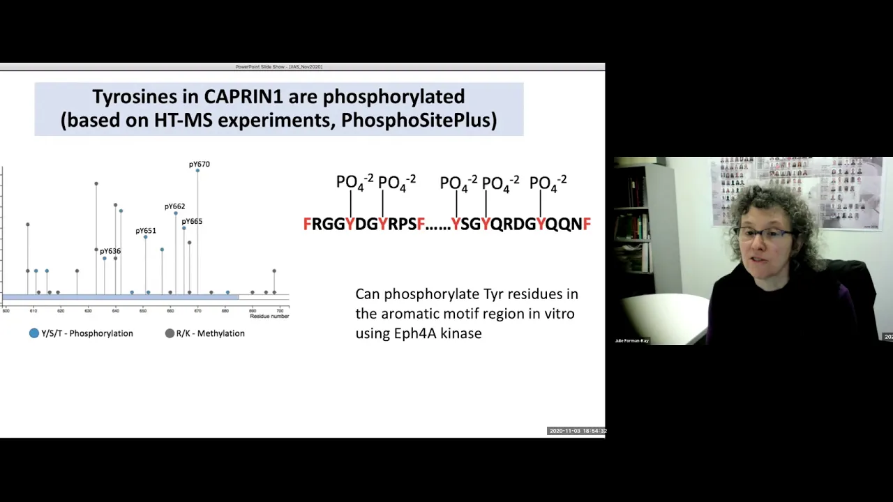 The 26th Advanced School in Life Sciences: Condensates and Phase Separation in Biology - Session #2