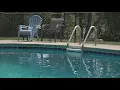 Swimply App pool rental concerns