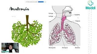 Infecciones Respiratorias: Causas, Prevención y Tratamiento