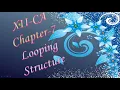 XII CA CHAPTER 7 LOOPING STRUCTURE