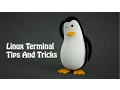 5 Linux Commands That You Must Know