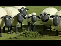 Download Lagu Shaun the Sheep - LIVE 🚨 BRAND NEW EPISODES 🐑 Cartoons for kids, Preschool, Farm