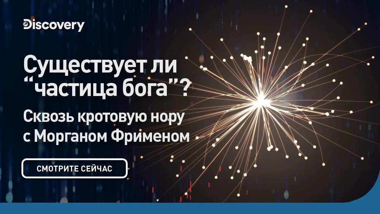 Существует ли "частица бога"? | Сквозь кротовую нору с Морганом Фрименом | Discovery