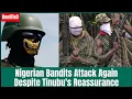 Download Lagu Nigerian Bandits Attack Again Despite Tinubu's Reassurance 