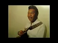 Muddy Waters - Baby Please Don't Go