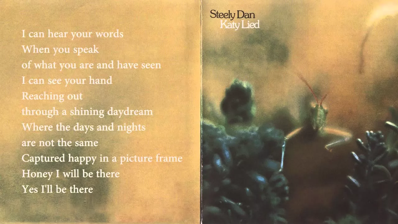 Steely Dan - Any World