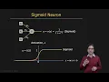 Activation Function Neural Networks