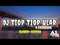 Lagu Dj tiop tiop ular x chika loka slowed reverb