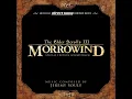 The Elder Srolls III: Morrowind Soundtrack - 12. Shed Your Travails