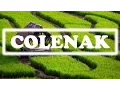 Lagu [COLENAK] SUNDANESE INSTRUMENTALIA | DEGUNG SUNDA | INDONESIAN TRADITIONAL MUSIC