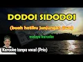 Download Lagu Dodoi si dodoi karaoke melayu nada pria