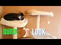 Feandrea Cat Tree Trendroid Reviews