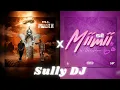 Shattiment - P.L.L x Sé Miimii - Mayelevrse feat Dj Skycee. Sully DJ remix