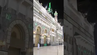 أرحنا بها يا المبدع هاشم السقاف    دندنها