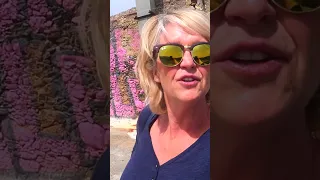 Sailing – My Unexpected Journey with Bruce Lee’s Advice! #shorts