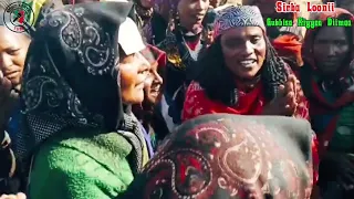 Sirba Loonii Gubbisa Kiyyaa Diimaa 