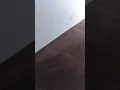 Ultra Carpet Cleaning 1 Hour Dry Time Carpet Cleaning