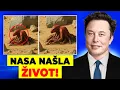 Download Lagu Rover Perseverance od NASA Zachytil Šokující Moment na Marsu