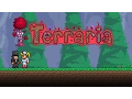 Top 5 Valentines Day Items in Terraria