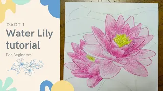 Download Water Lily tutorial • pencil color tutorial • part 1 MP3