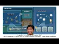 Java JVM Explained Simply Java 21 60-Second Tech Breakdown