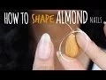 SHAPE PERFECT ALMOND NAILS abetweene