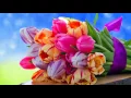 Download Lagu SUNDAY-Instr--  Boemerang