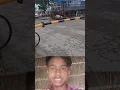 Cow narrowly escapes death