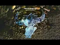 Jamiroquai - Canned Heat (Instrumental)