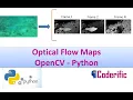 Optical Flow Maps Using OpenCV in Python