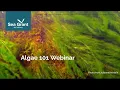 Michigan Algae 101 Webinar 2024