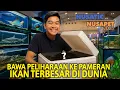Download Lagu NEKAT BAWA PELIHARAAN RAKSASA KE PAMERAN IKAN TERBESAR DI DUNIA NUSATIC NUSAPET 2025!