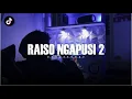 Lagu DJ RAISO NGAPUSI 2 REVERB VIRAL TIK TOK FANDY FVNKY
